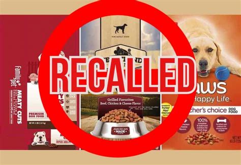 Purina Dog Treats Recall: Everything You Need to Know