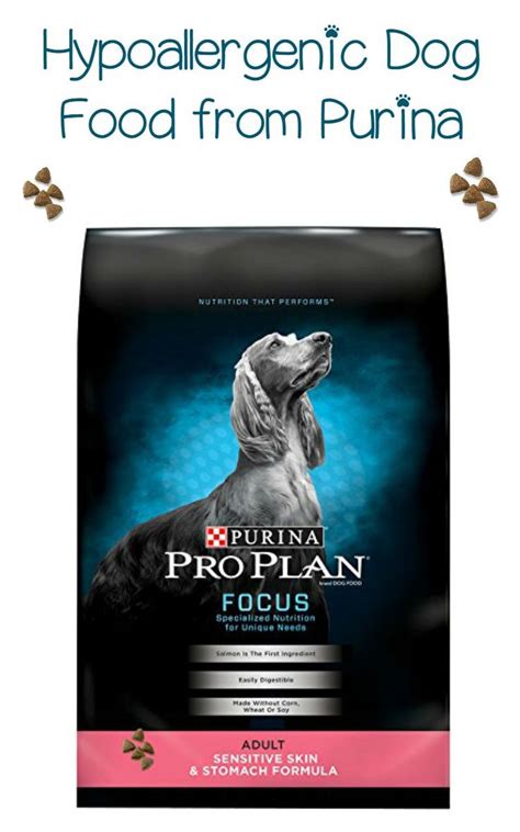 Purina Hypoallergenic Dog Food: 5 Ways to Find the Right One for Your Pet