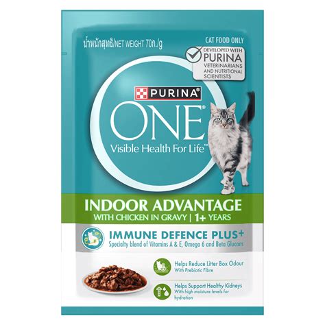 Purina ONE: The #1 Vet-Recommended Dog Food for Every Stage of Life