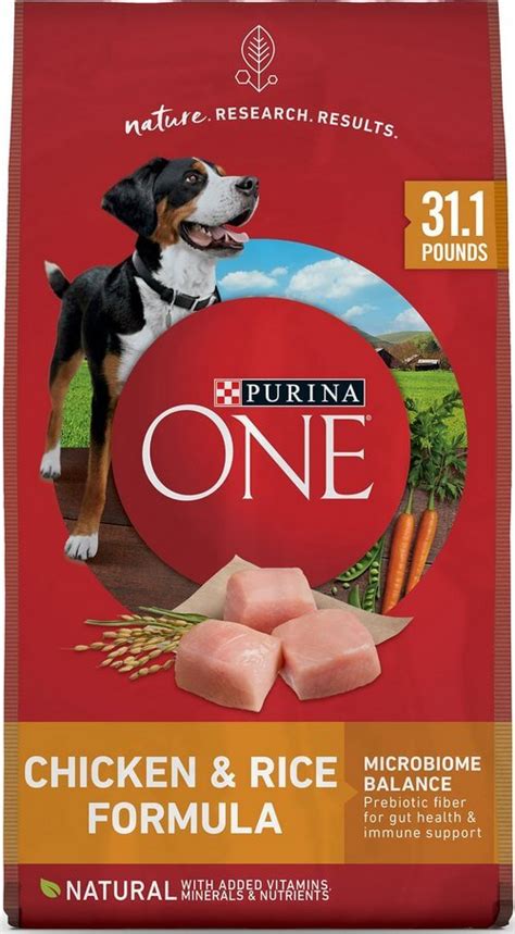 Purina ONE Dog Food: An In-Depth Review