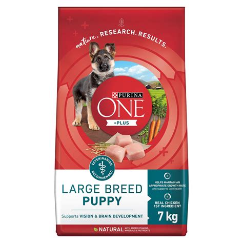 Purina ONE Plus Puppy Food: Nutrition Tailored for Growing Pups