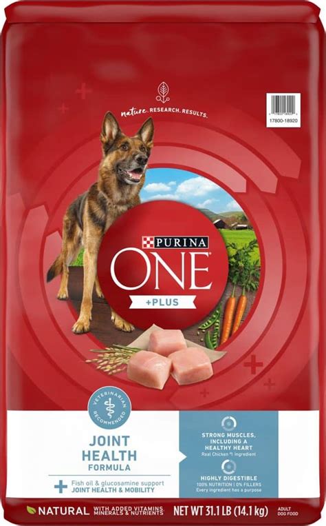 Purina One Dog Food Recall: 10,000+ Cases of Potentially Contaminated Food