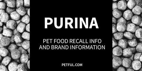 Purina One Dog Food Recalls: A Comprehensive Analysis