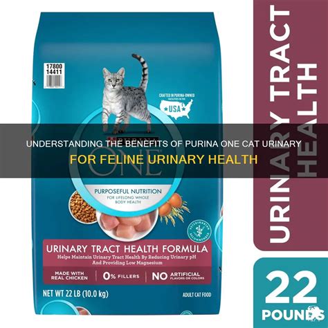 Purina One Urinary Tract: A Comprehensive Solution for Feline Urinary Problems