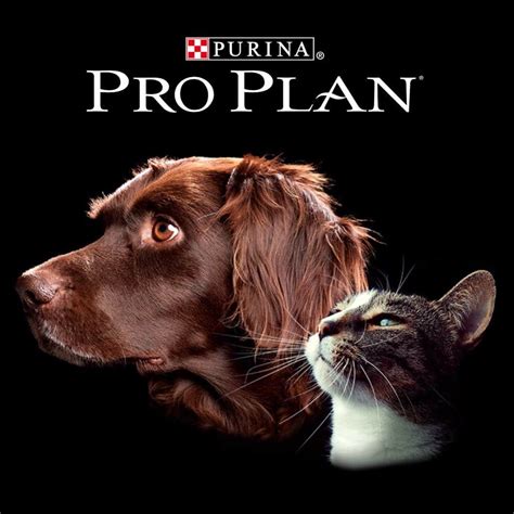 Purina Pro Planで愛犬の栄養バランスを最適化