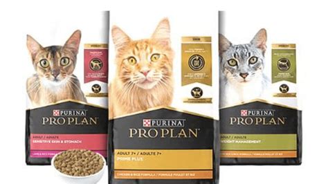 Purina Pro Plan Dog Food Recall: Everything You 8 Need to Know