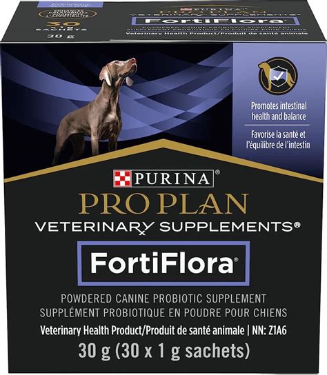 Purina Pro Plan Probiotics: The 5 Benefits You Can't Ignore