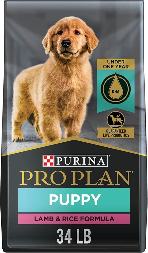 Purina Pro Plan Puppy: Everything You Need to Know