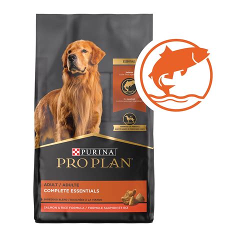 Purina Salmon Dog Food: 7 Nutrient-Packed Options to Enhance Your Dog's Well-being