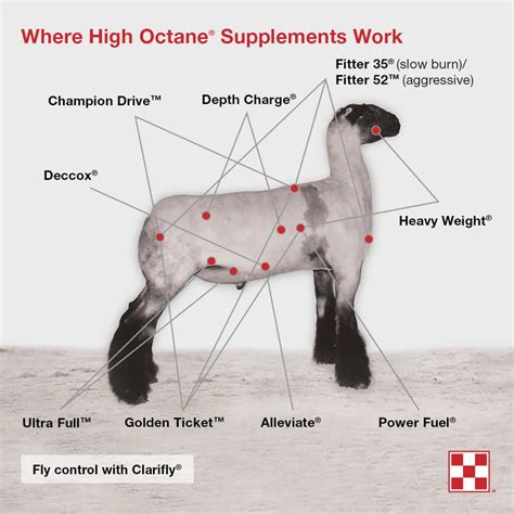 Purina Show Supplements Chart