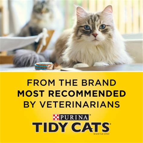 Purina Tidy Cats Litter: The Ultimate Guide to a Clean and Healthy Litter Box