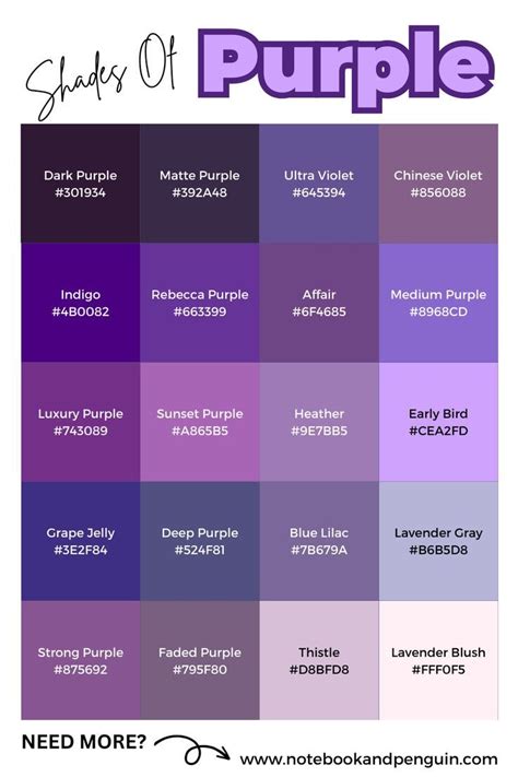 Purple: A Color of Diversity and Expression