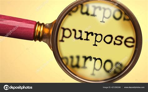 Purpose: