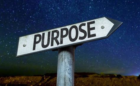 Purpose and Significance