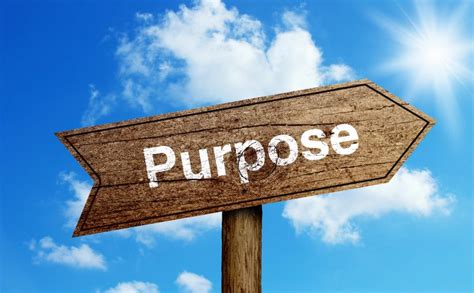 Purpose and Types