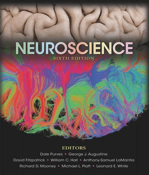 Purves Neurosciences 4eme Edition Ebook Kindle Editon