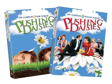 Pushing Daisies Box Set: A Complete Guide to the Whimsical and Heartwarming Series