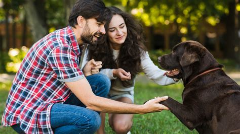 Puxada do Cachorro: Um Guia Definitivo para Controlar o Comportamento de Seu Amigo Canino