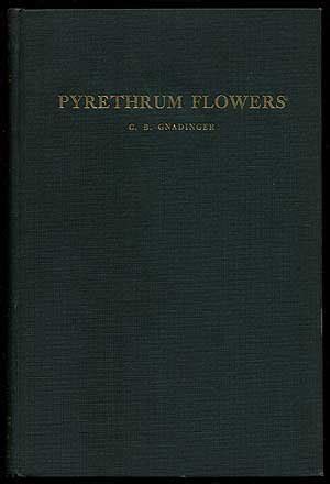 Pyrethrum Flowers 1st Indian Edition Reader