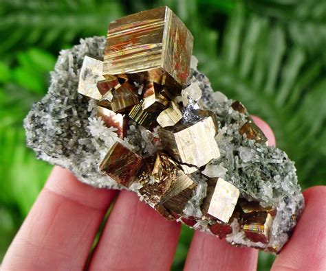 Pyrite Rainbow: The Iridescent Allure of Fool's Gold