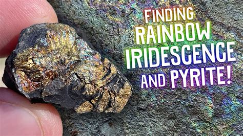 Pyrite Rainbows: Unveiling the Enchanting Iridescence of Mother Earth's Golden Gem