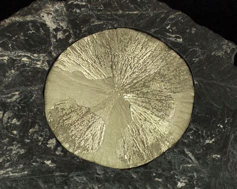 Pyrite Sun: The Golden Gem of the Earth