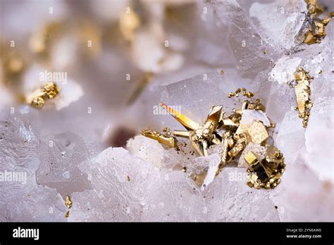 Pyrite on Quartz: A Golden Alliance