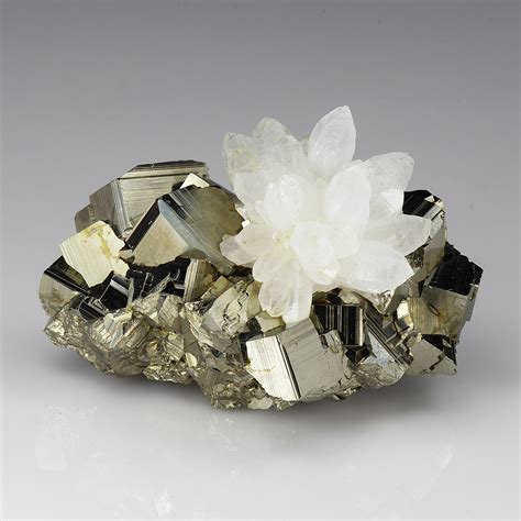 Pyrite on Quartz: A Golden Alliance in the World of Minerals