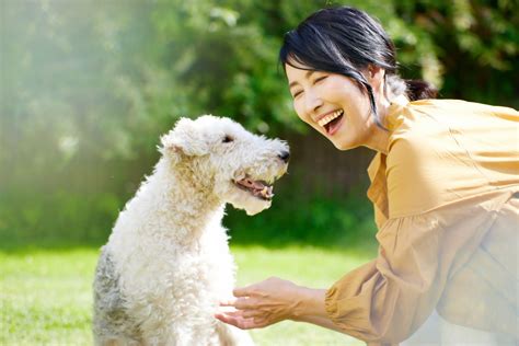 Q: 犬の寿命を延ばすことができますか？