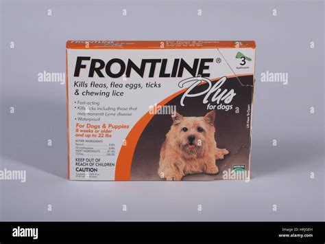 Q: How often should I use Frontline Flea & Tick Treatment on my dog?