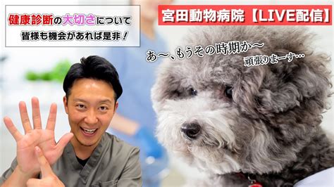 Q：宮田動物病院は予約が必要ですか？