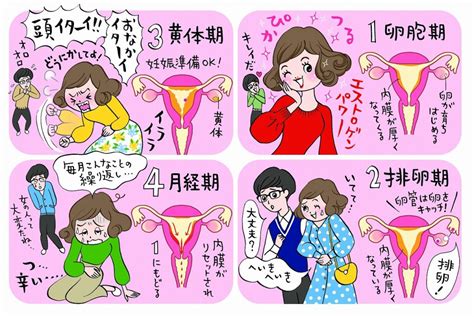 Q：男子に生理が起こるのはなぜですか？