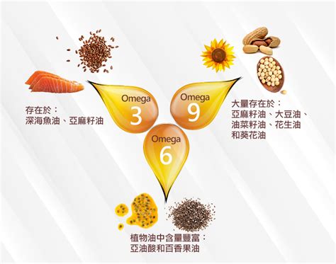 Q1：我可以從魚油中獲得多少 Omega-3 脂肪酸？