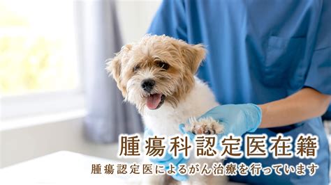 Q1. まつうら動物病院では緊急治療は行っていますか？