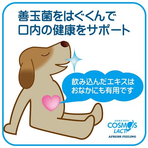 Q1. コスモス ラクト 犬はいつから使用できますか？