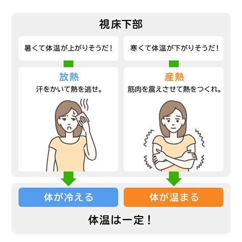 Q1. ベッドが寒いときに温まるまでどれくらいかかりますか？