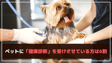 Q1. ペットの健康診断はどのくらいの頻度で行う必要がありますか？