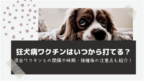 Q1. 狂犬病ワクチンはいつ接種すればいいですか？