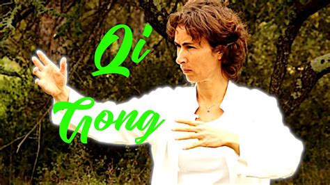 Qi Gong Secrets of Epub