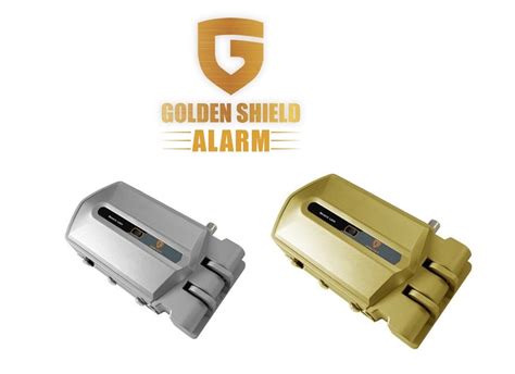 Qkking Entertainment Information Positioning Alarm Golden Epub