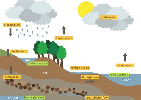 Qts to Gal: Unlocking the Power of Subterranean Hydrology