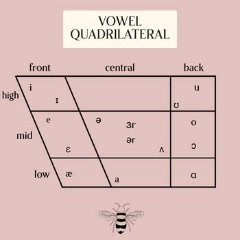Quadrilateral Vowel Chart