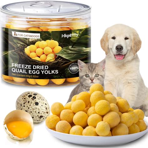 Quail Eggs for Dogs: A Treat That's Both Nutritious and Delicious