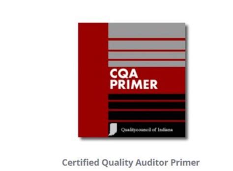 Quality Auditor Solutions Text PDF