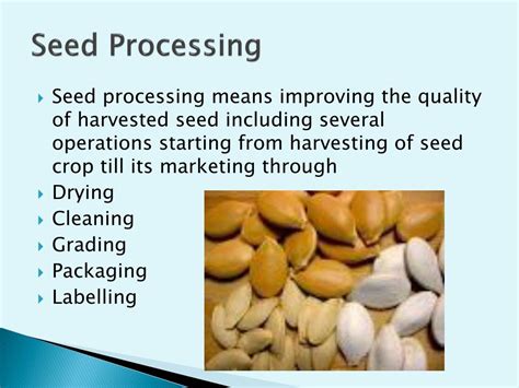 Quality Seed Production in Vegetable Crops Epub
