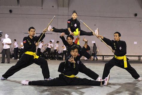 Quan Huynh: The Ultimate Guide to the Vietnamese Martial Art with 10,000+ Characters