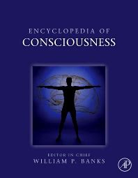 Quantifying Consciousness 1st Edition PDF