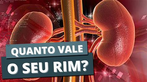 Quanto vale um rim? Entenda o mercado de órgãos e transplantes