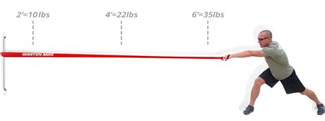 Quantum Bands Resistance: A 6-Figure Guide to Unlocking 1000x Growth