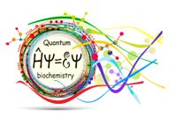 Quantum Biochemistry PDF